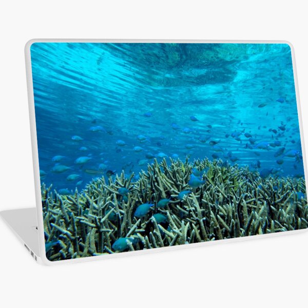 Panavara channel Laptop Skin
