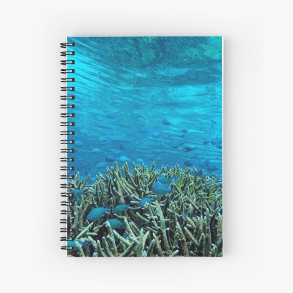 Panavara channel Spiral Notebook