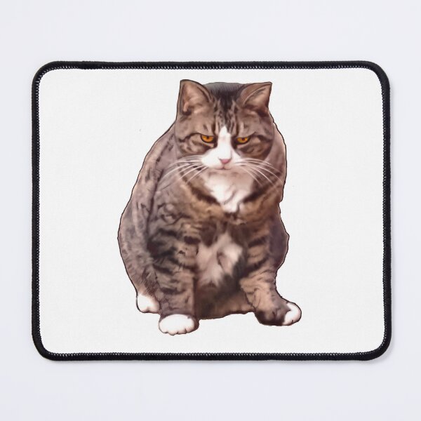 Item preview, Cats are Funny ! Cute Kitty Cat Kitten Moody Grumpy Puss cats designed and sold by Artonmytee.