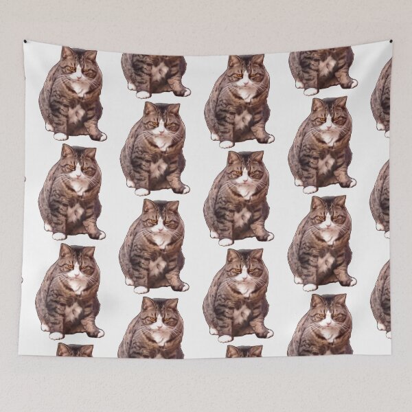 Item preview, Cats are Funny ! Cute Kitty Cat Kitten Moody Grumpy Puss cats designed and sold by Artonmytee.