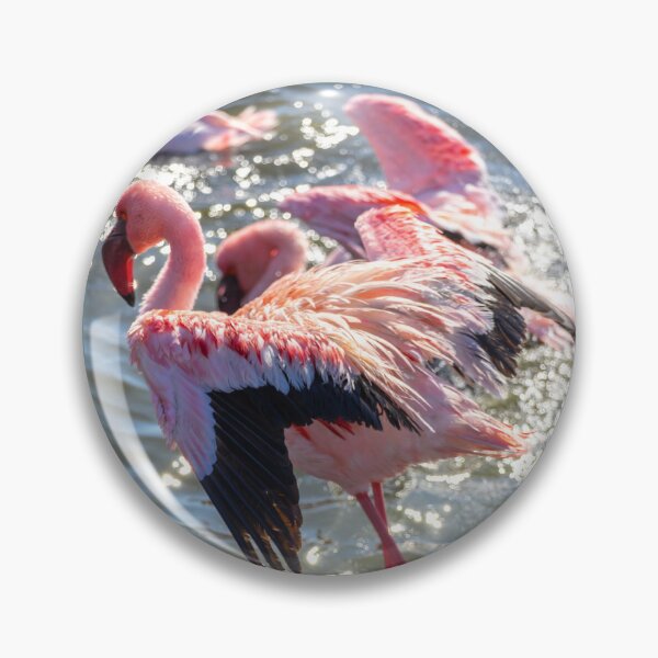 Item preview, Namibia. Walvis Bay. Flamingos.  designed and sold by vadim19.