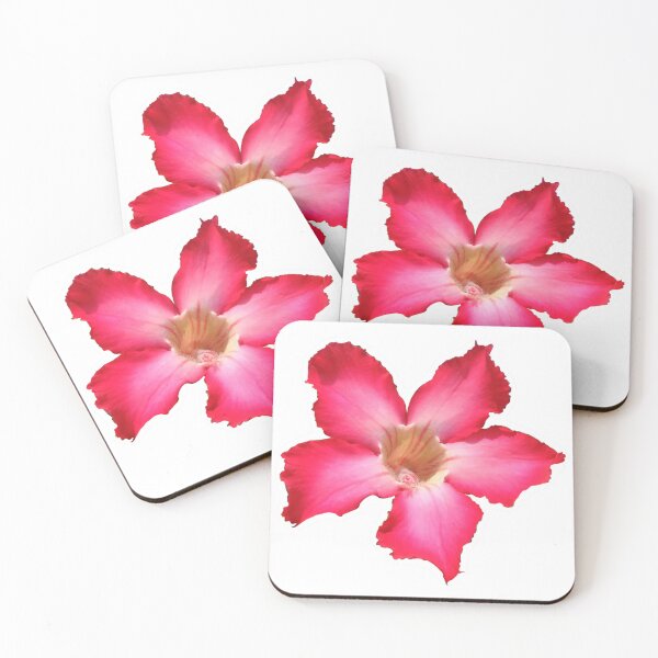 Item preview, Desert rose flower designed and sold by DilipSingh.
