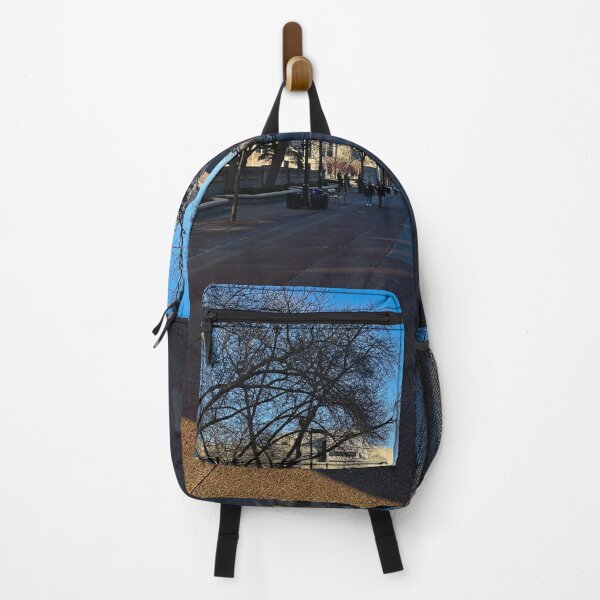 Item preview, State Street 5, Madison, Wisconsin designed and sold by StevenRalserPhoto.