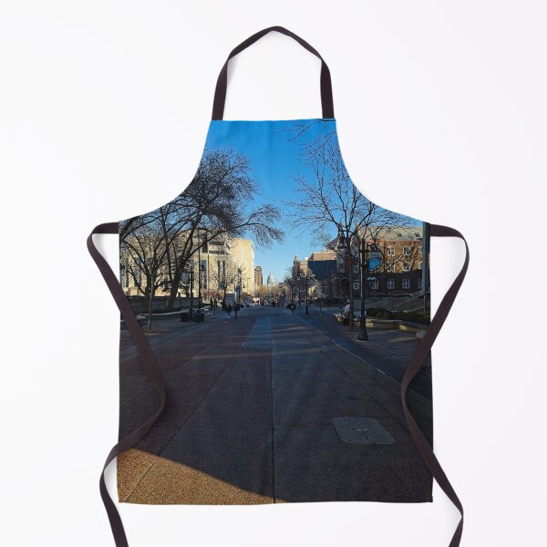 Item preview, State Street 5, Madison, Wisconsin designed and sold by StevenRalserPhoto.