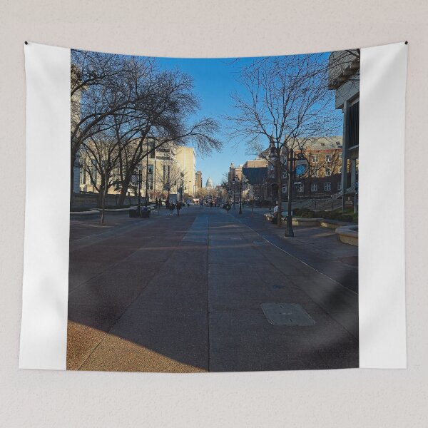 Item preview, State Street 5, Madison, Wisconsin designed and sold by StevenRalserPhoto.