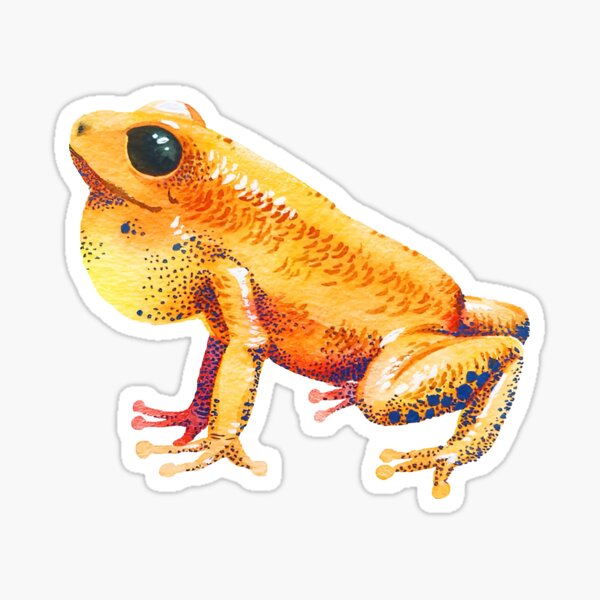 Colorful Poison Dart Frog Watercolor Art Sticker
