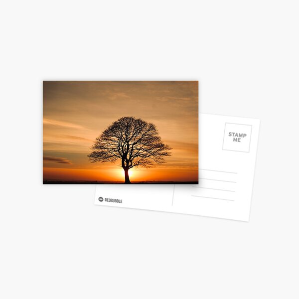 Item preview, Digital Photograph Tree silhouette at sunrise designed and sold by SimonJohnson1.