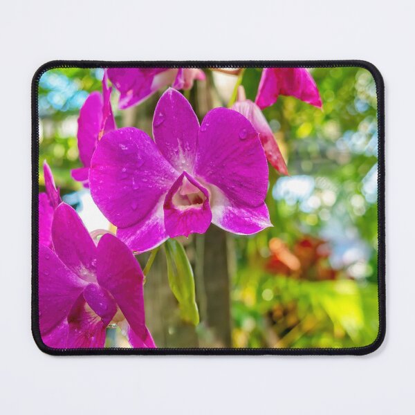 Item preview, Orchid designed and sold by Kay Brewer.
