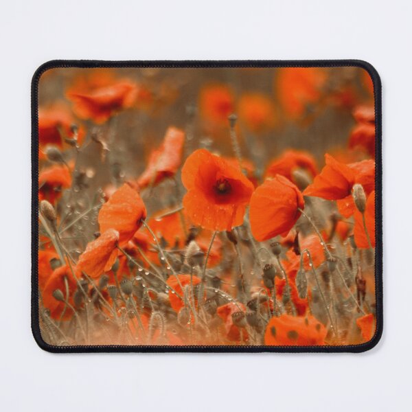 Item preview, Digital Photograph poppies designed and sold by SimonJohnson1.