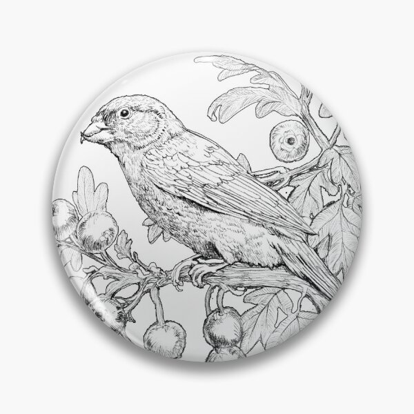 Item preview, PENCIL SKETCH OF COMMON AND MAJOLETO - OSLAGUNA designed and sold by oslaguna.