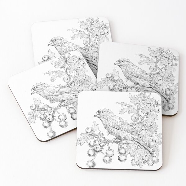 Item preview, PENCIL SKETCH OF COMMON AND MAJOLETO - OSLAGUNA designed and sold by oslaguna.