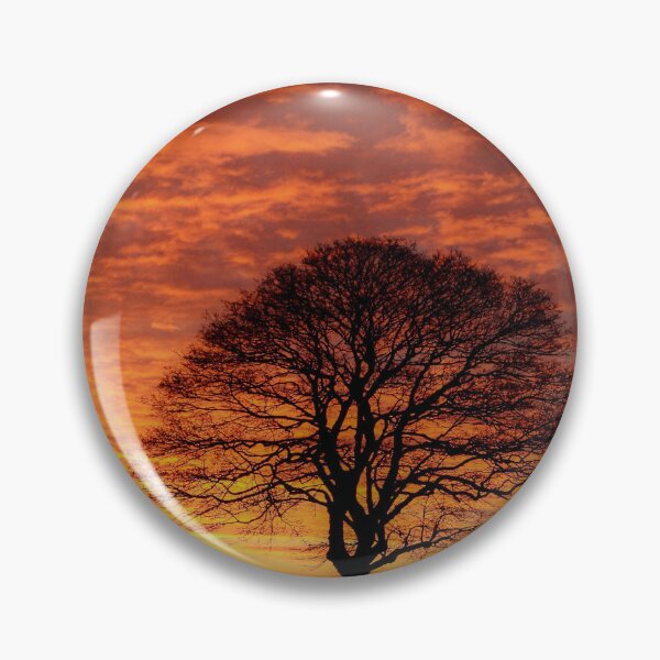 Item preview, Digital Photograph  Tree silhouette  at sunrise designed and sold by SimonJohnson1.