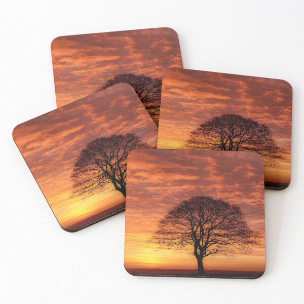 Item preview, Digital Photograph  Tree silhouette  at sunrise designed and sold by SimonJohnson1.