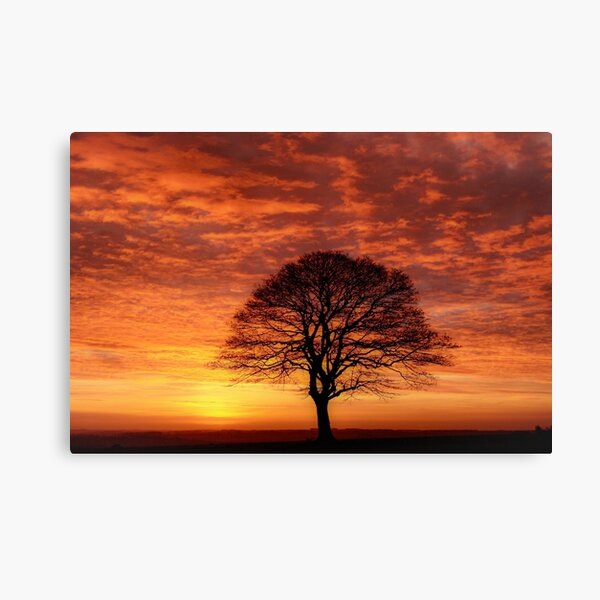 Item preview, Digital Photograph  Tree silhouette  at sunrise designed and sold by SimonJohnson1.