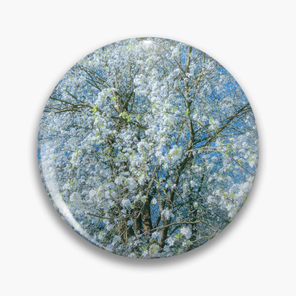 Item preview,     Digital Photograph of white Spring Cherry Blossom                                                                                  designed and sold by SimonJohnson1.
