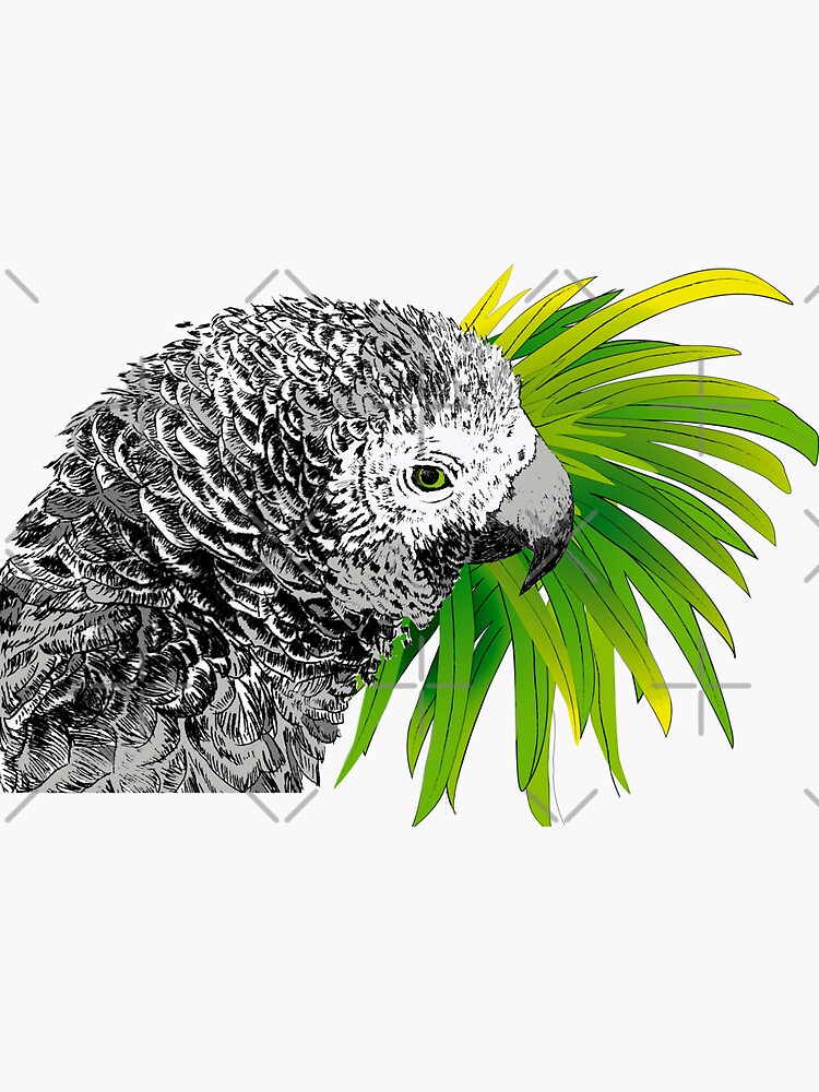 The Parrot by EllaBoughton