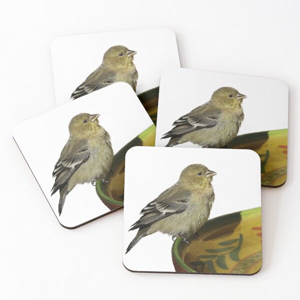 Item preview, Bird at the Bath designed and sold by heatherfriedman.