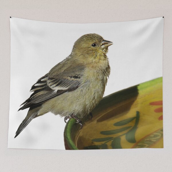 Item preview, Bird at the Bath designed and sold by heatherfriedman.