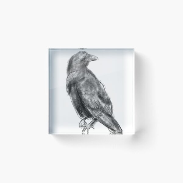Item preview, Raven Sketch designed and sold by LiimiimHaywaas.