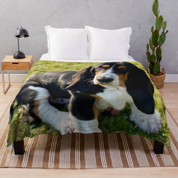 Item preview, Cute Basset Hound Photo designed and sold by TheAnimalZ00.
