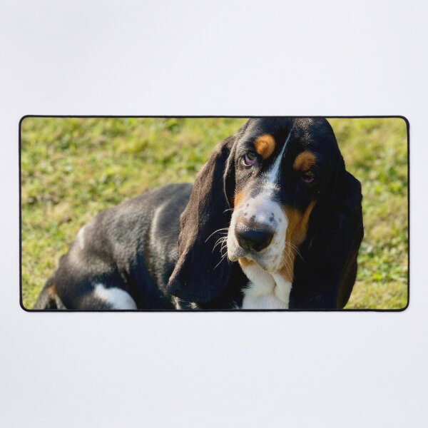 Item preview, Cute Basset Hound Photo designed and sold by TheAnimalZ00.