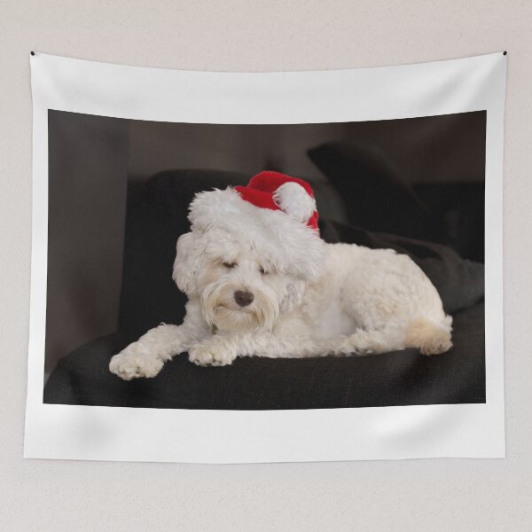 Item preview, Small white dog in santa hat tired and looking drowsy designed and sold by Brian Scantlebury.