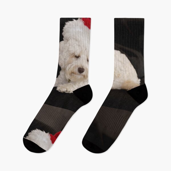 Item preview, Small white dog in santa hat tired and looking drowsy designed and sold by Brian Scantlebury.