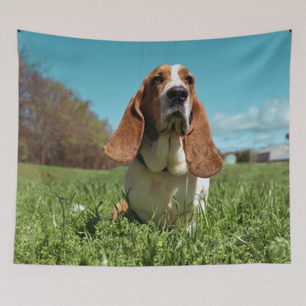 Item preview, Photo of A Basset Hound  designed and sold by TheAnimalZ00.