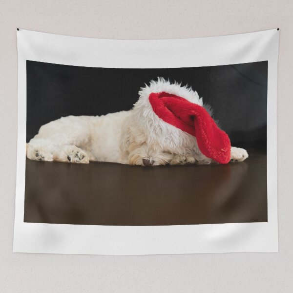 Item preview, Small white dog in santa hat fallen asleep. designed and sold by Brian Scantlebury.
