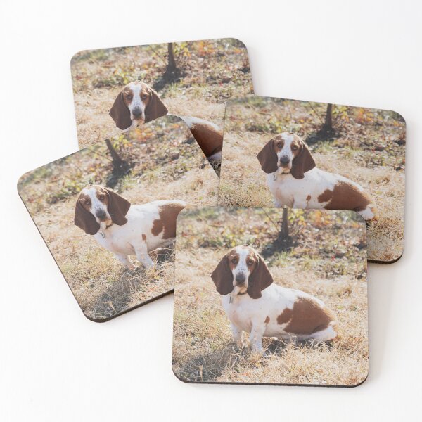 Item preview, Photo of A Basset Hound  designed and sold by TheAnimalZ00.