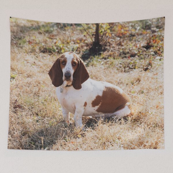 Item preview, Photo of A Basset Hound  designed and sold by TheAnimalZ00.