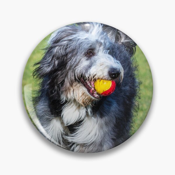 Item preview, Bearded Collie Playing designed and sold by TheAnimalZ00.