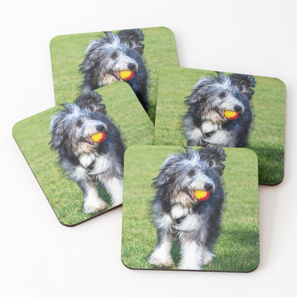 Item preview, Bearded Collie Playing designed and sold by TheAnimalZ00.