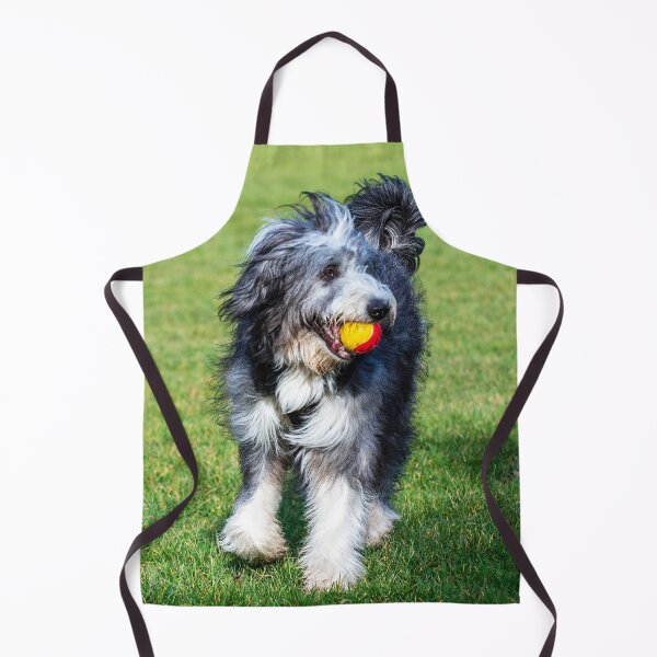 Item preview, Bearded Collie Playing designed and sold by TheAnimalZ00.