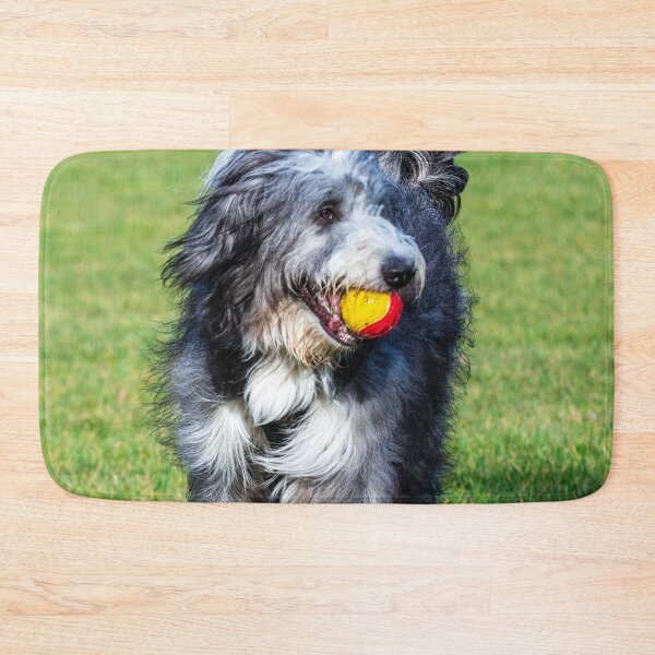 Item preview, Bearded Collie Playing designed and sold by TheAnimalZ00.