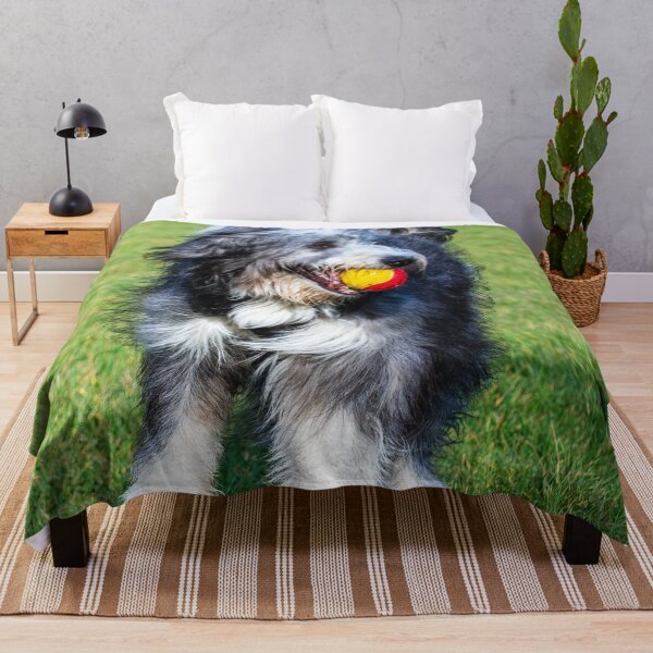 Item preview, Bearded Collie Playing designed and sold by TheAnimalZ00.