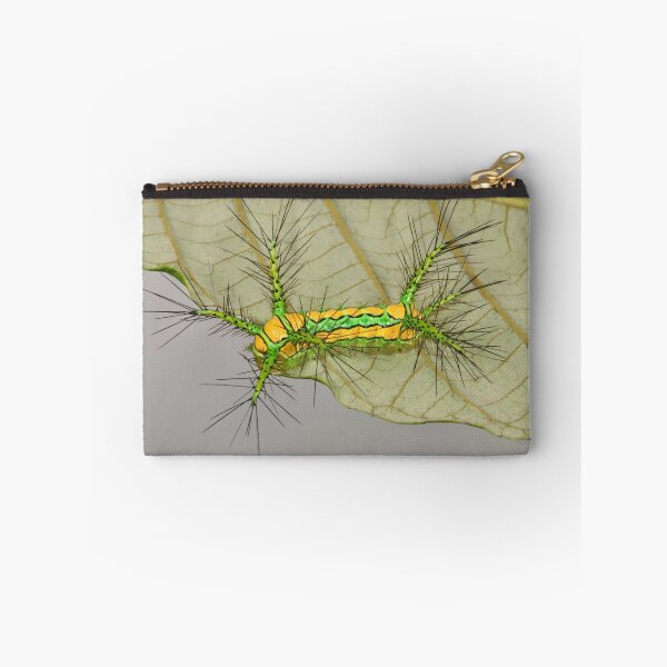 Item preview, Stinging Nettle Slug Caterpillar 14 designed and sold by itchydogimages.