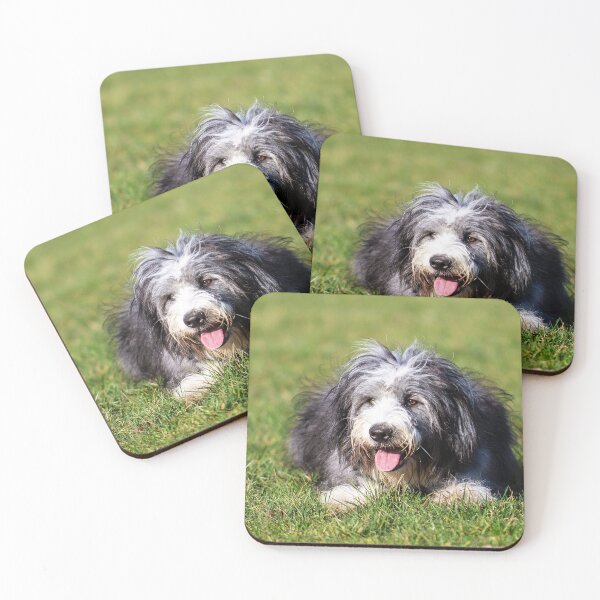 Item preview, Photo of A Bearded Collie designed and sold by TheAnimalZ00.