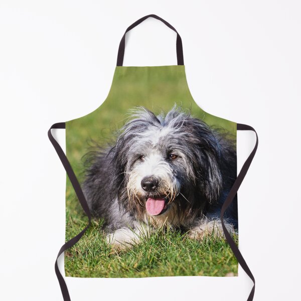 Item preview, Photo of A Bearded Collie designed and sold by TheAnimalZ00.