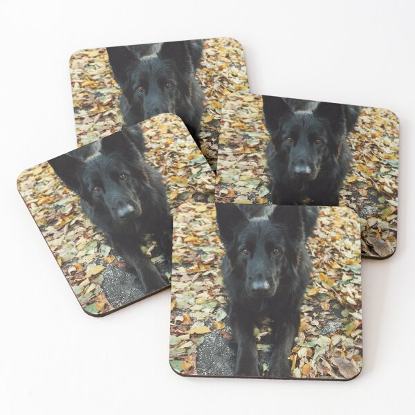 Item preview, Cute Belgian Sheepdog Photo designed and sold by TheAnimalZ00.