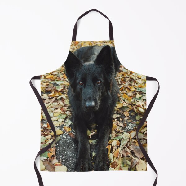 Item preview, Cute Belgian Sheepdog Photo designed and sold by TheAnimalZ00.