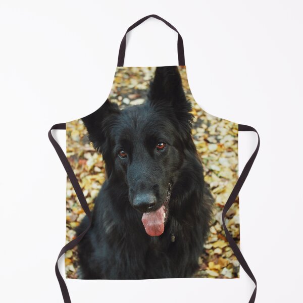 Item preview, Cute Belgian Sheepdog Portrait Photo designed and sold by TheAnimalZ00.