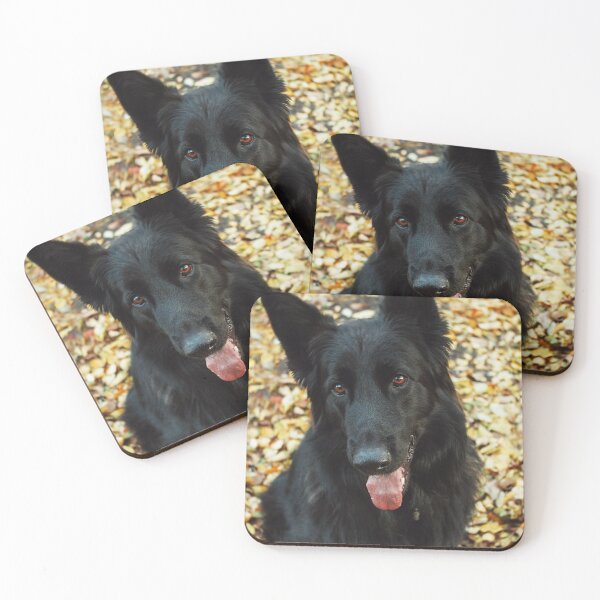 Item preview, Cute Belgian Sheepdog Portrait Photo designed and sold by TheAnimalZ00.