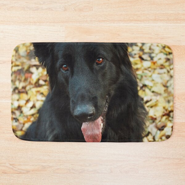 Item preview, Cute Belgian Sheepdog Portrait Photo designed and sold by TheAnimalZ00.