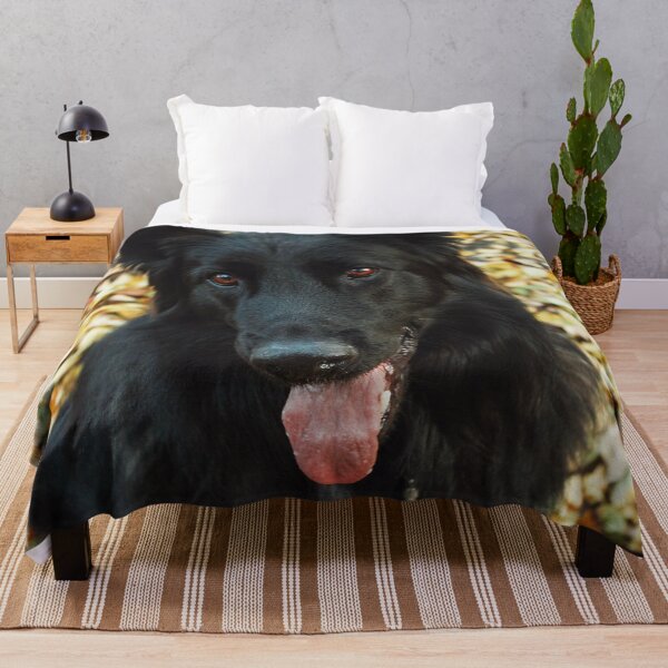 Item preview, Cute Belgian Sheepdog Portrait Photo designed and sold by TheAnimalZ00.