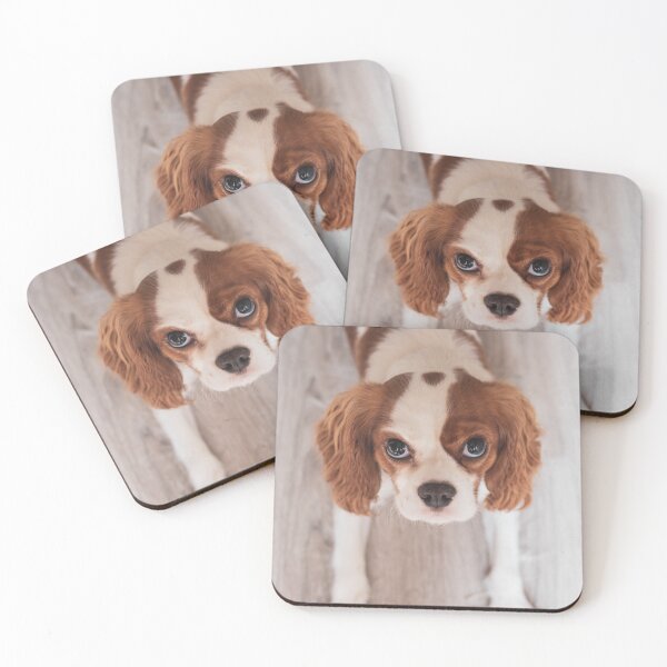 Item preview, Cute Cavalier King Charles Spaniel Photo designed and sold by TheAnimalZ00.