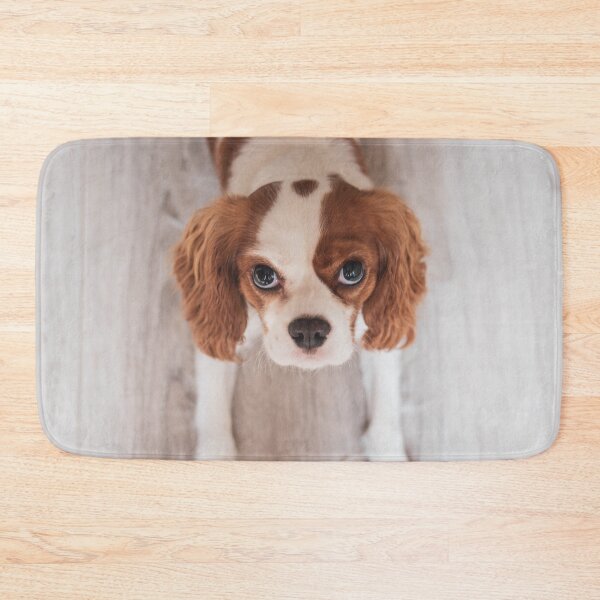 Item preview, Cute Cavalier King Charles Spaniel Photo designed and sold by TheAnimalZ00.