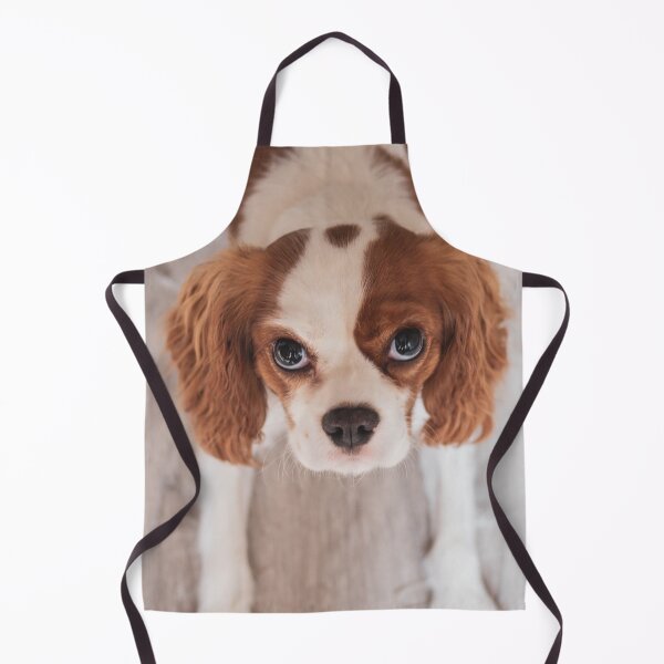 Item preview, Cute Cavalier King Charles Spaniel Photo designed and sold by TheAnimalZ00.
