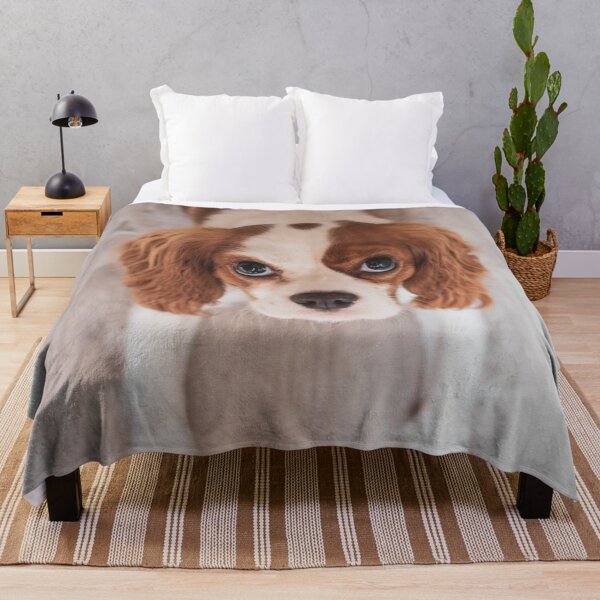 Item preview, Cute Cavalier King Charles Spaniel Photo designed and sold by TheAnimalZ00.