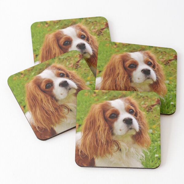 Item preview, Cavalier King Charles Spaniel Photo designed and sold by TheAnimalZ00.